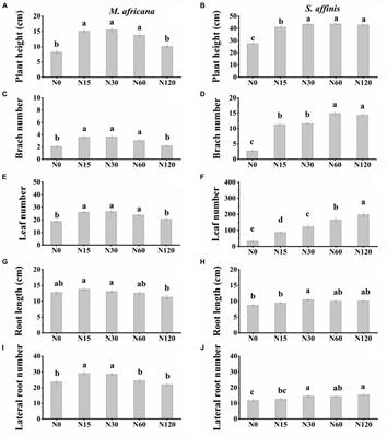 The Growth and N Retention of Two Annual Desert Plants Varied Under Different Nitrogen Deposition Rates